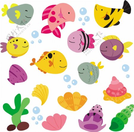 各种鱼类和水产插图