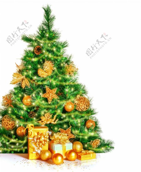 圣诞树和金色礼盒图片