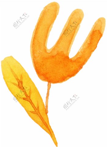 刀叉形橘色植物素材
