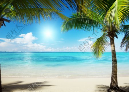 加勒比海沙滩美景图片
