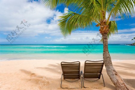 海滩边的沙滩椅图片