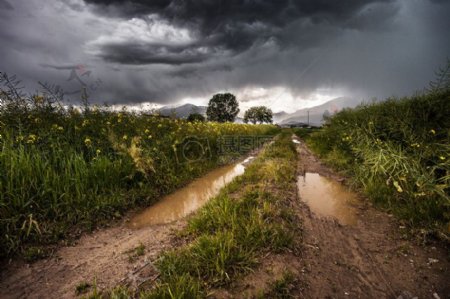 场雷雨多雨草甸雨风雨如磐农村国家车道水坑公共领域图像