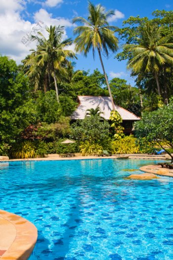 热带游泳池景色图片