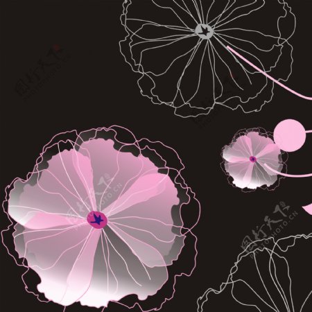 粉色线条花朵装饰画