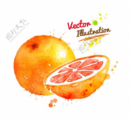 水彩墨迹喷溅蔬菜水果橙子