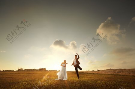 草地上拍婚纱的夫妻图片