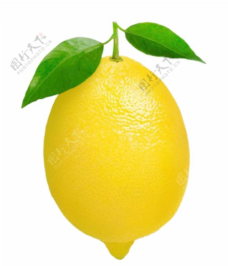 柠檬免扣图