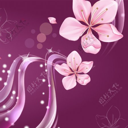 清新紫红色背景花朵装饰画