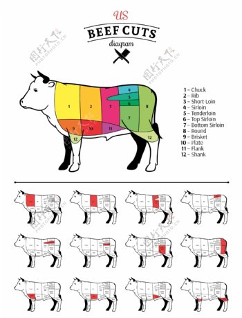 牛肉结构图设计