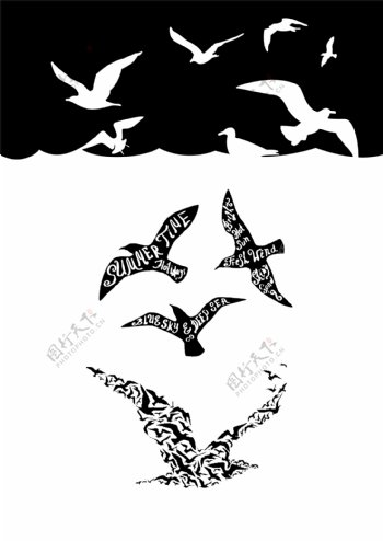 海洋系类黑白色海鸥