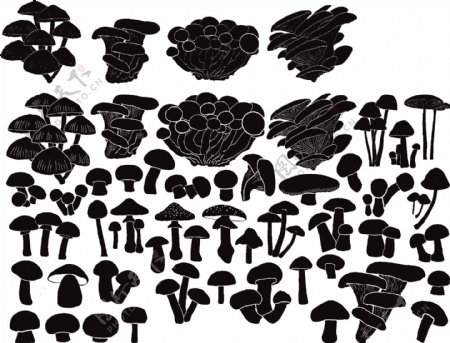 蘑菇类素材