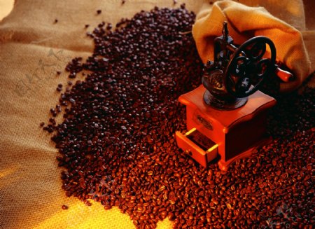 咖啡豆和搅拌机图片