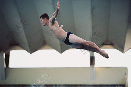 男子跳水运动员