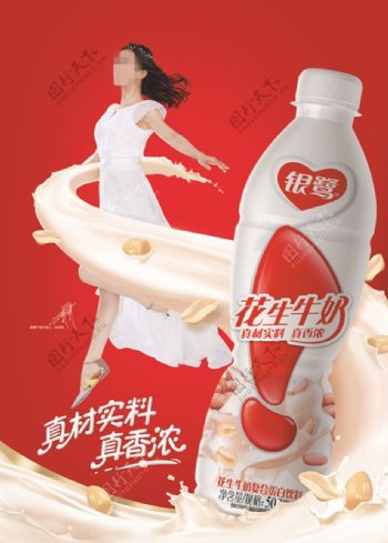 2015银鹭花生牛奶主视觉海报