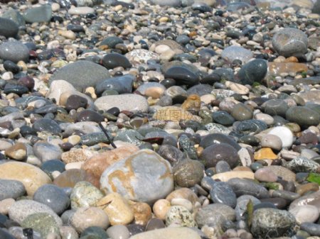 一堆奇形怪状的鹅卵石
