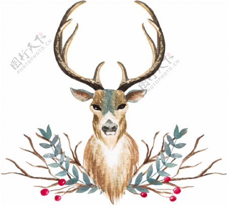 水彩画的鹿的设计
