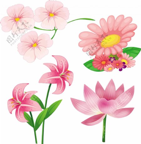 不同的粉红色的花朵插画矢量素材
