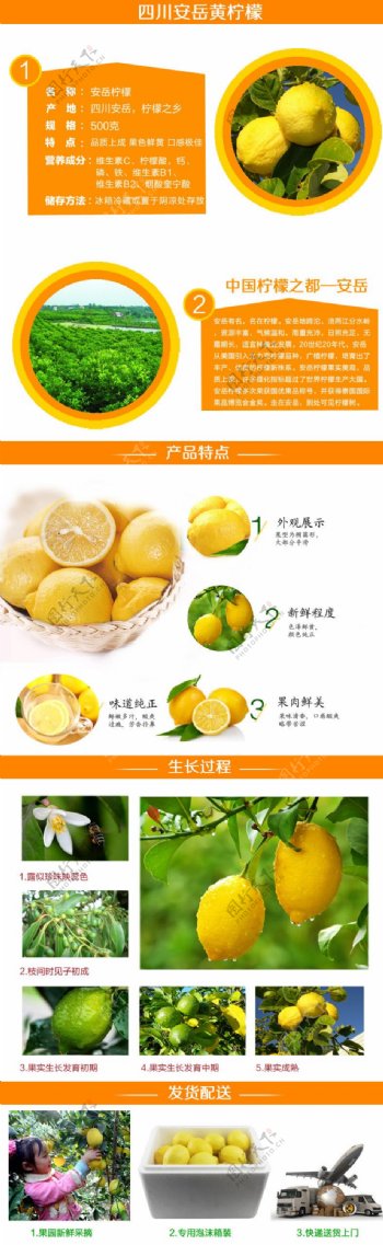 柠檬细节图