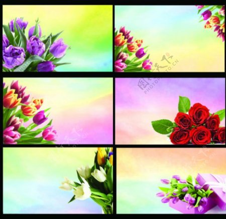 唯美鲜花花卉背景名片卡片设计PSD素材
