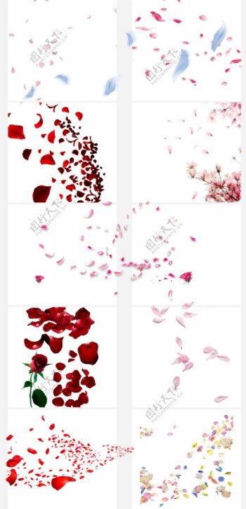 花瓣节日鲜花飘落装饰粉红素材背景