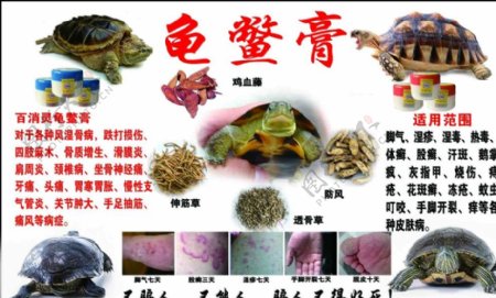 龟鳖膏图片
