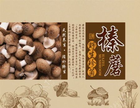榛蘑食品包装