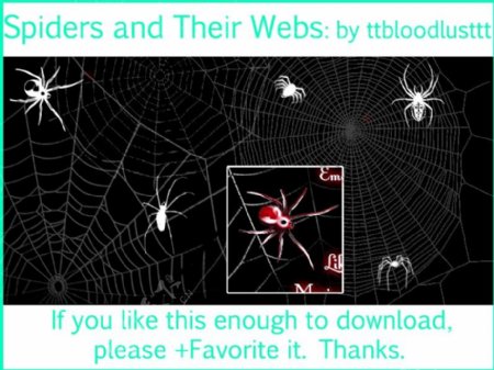 恐怖蜘蛛与蜘蛛网效果photoshop笔刷素材