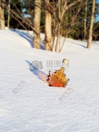 雪地里面放着一瓶糖浆
