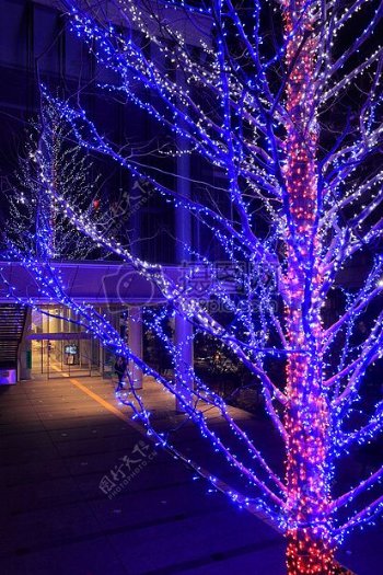 光红色夜晚蓝色冬季玻璃白色窗口圣诞节带动东京主题圣诞节音乐大厅