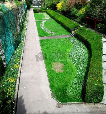 城市花园的草坪
