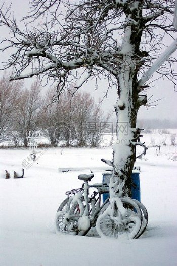 积雪覆盖的自行车