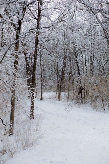 数码照片添加冬季雪景PS动作