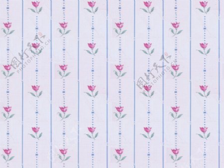 粉色花朵条纹壁纸图案图片素材下载
