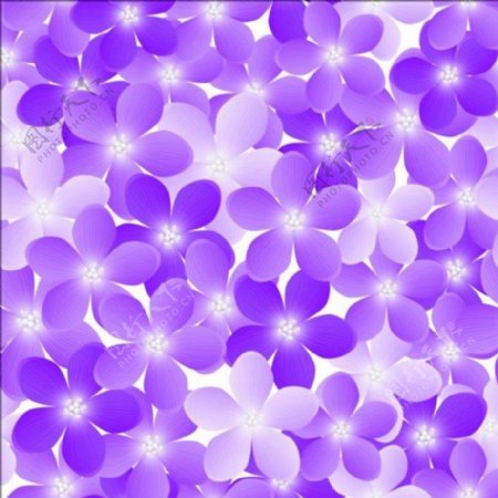 紫色花瓣背景素材