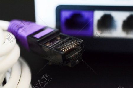 紫色的电缆插头