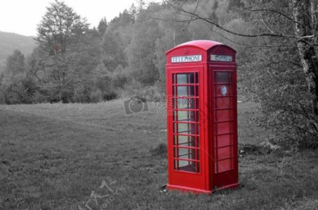 树林中的红色电话亭