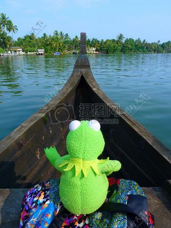 坐在船头的青蛙