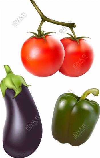 西红柿茄子青椒