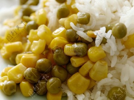 米饭中的玉米粒