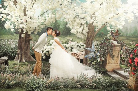 白色鲜花树下接吻的情侣图片