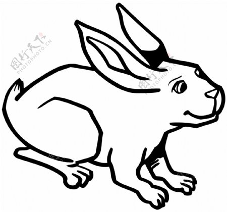 兔子常见动物矢量素材eps格式0012