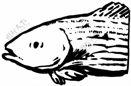 五彩小鱼水生动物矢量素材EPS格式0229