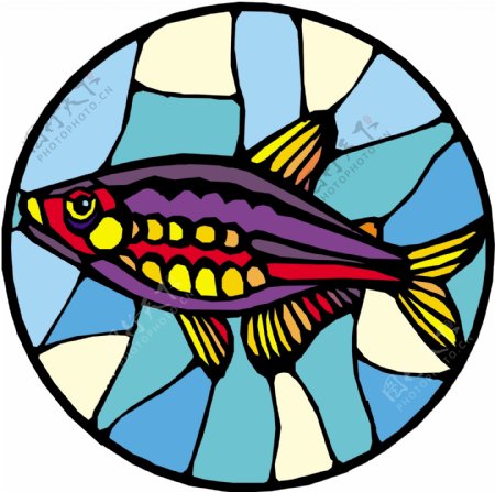 五彩小鱼水生动物矢量素材EPS格式0517