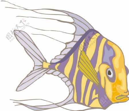 五彩小鱼水生动物矢量素材EPS格式0637
