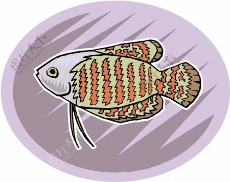 五彩小鱼水生动物矢量素材EPS格式0735