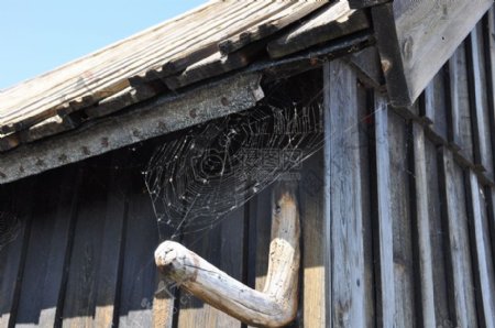 屋顶上的蜘蛛网