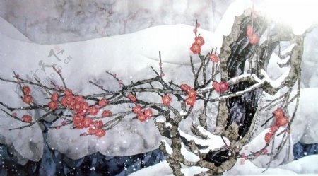 冬天梅花国画图片