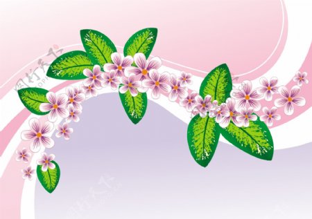 粉色花朵绿叶动感曲线图片
