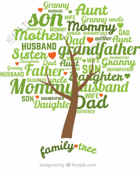 绿色单词家族树