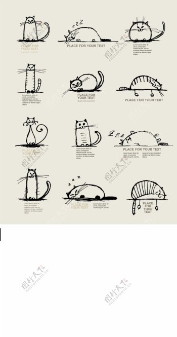 各种猫咪矢量图简笔画